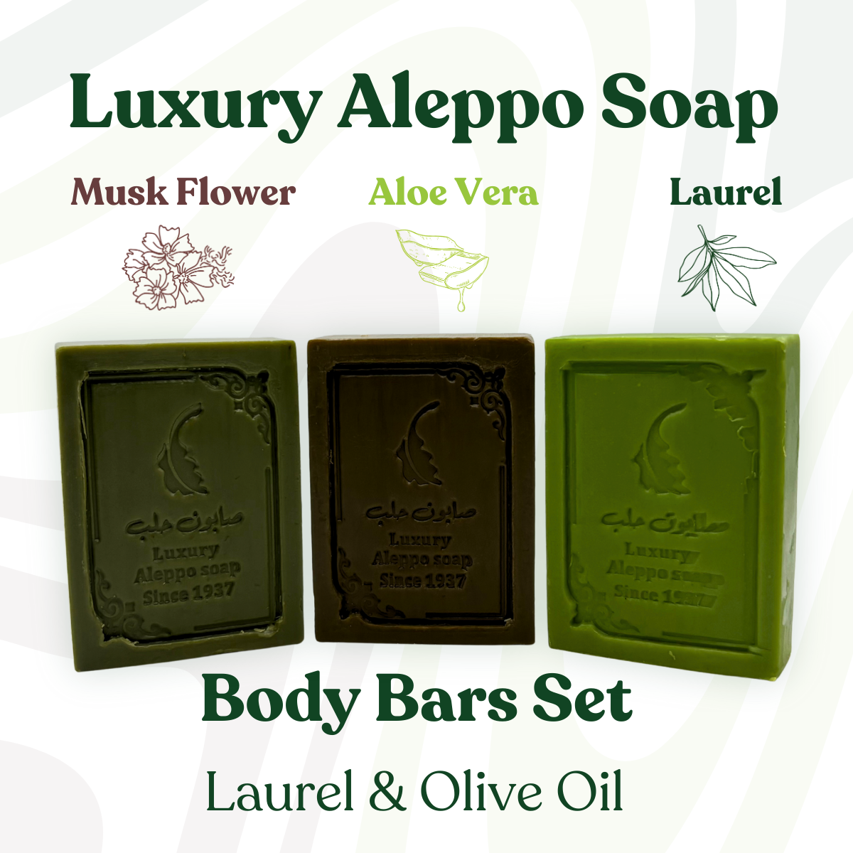 Luxury Aleppo Soap Collection: Laurel, Aloe Vera & Musk