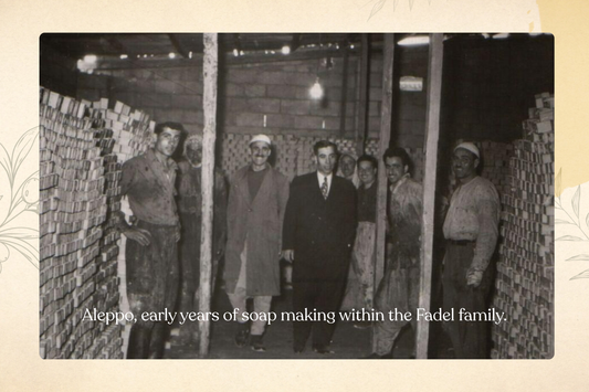 The Fadel Family Since 1937