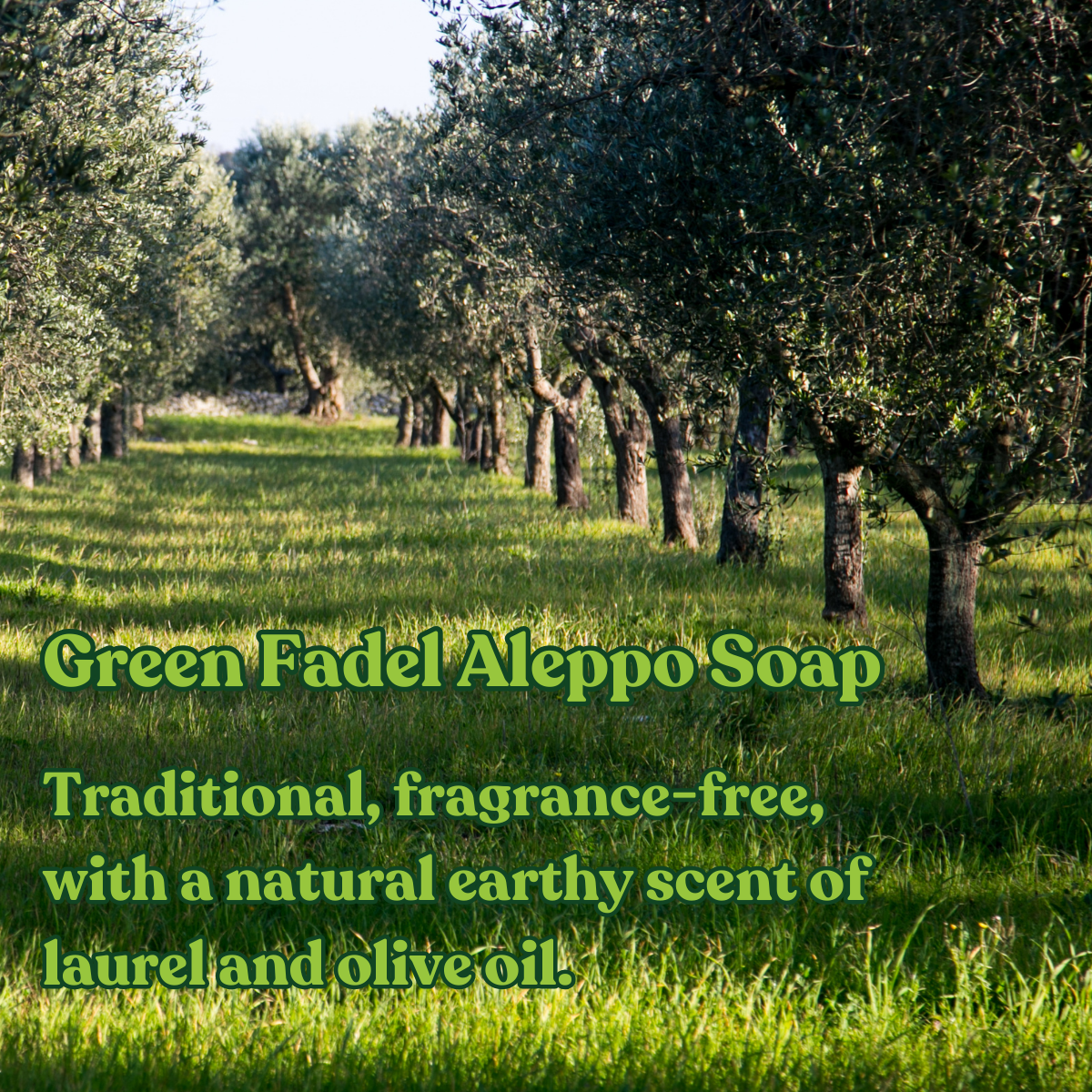 Genuine Aleppo Soap