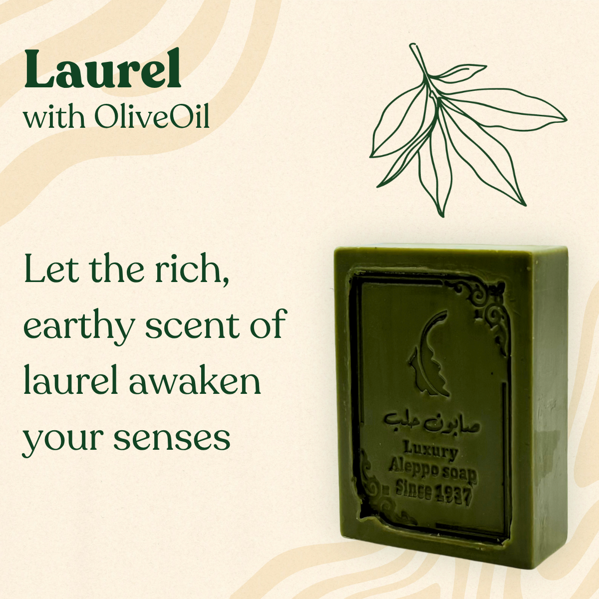 Luxuriöse Aleppo Seife mit Lorbeer