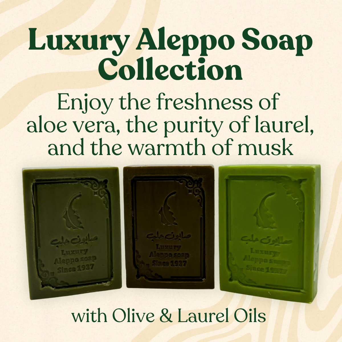 Luxe Aleppo Zeep Collectie: Laurier, Aloë Vera & Muskus

